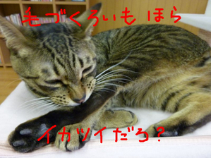 BlogPaint
