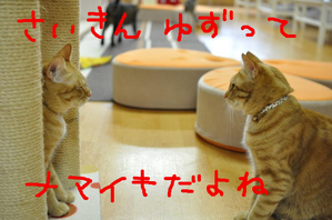 BlogPaint
