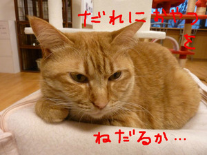 BlogPaint