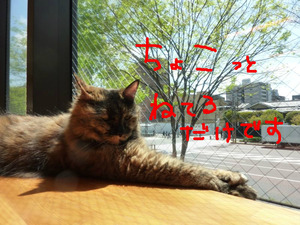 BlogPaint