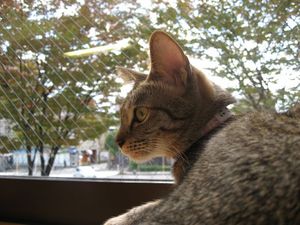 IMG_1501-1