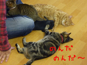 BlogPaint
