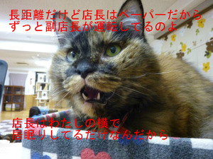 BlogPaint