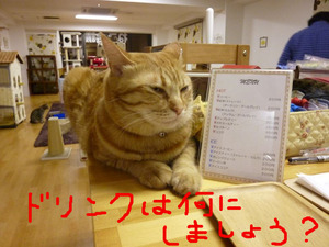BlogPaint