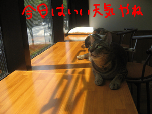 BlogPaint