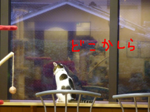 BlogPaint