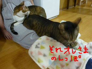BlogPaint