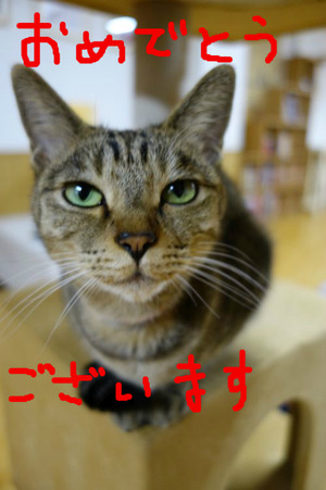 BlogPaint