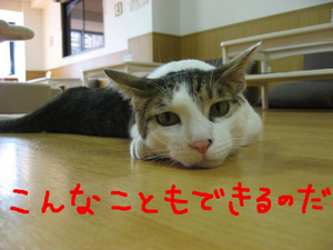 BlogPaint