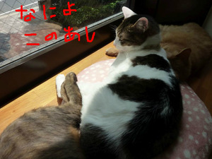 BlogPaint