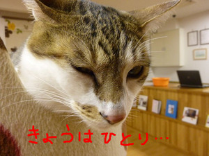 BlogPaint